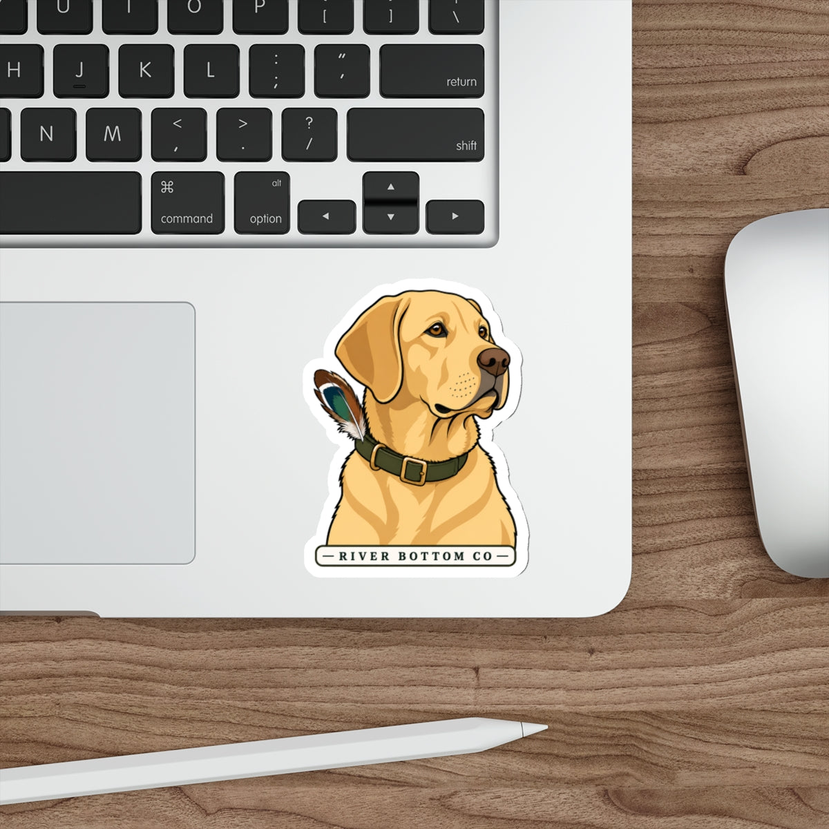 Die-Cut Stickers